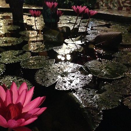 The Lotus Garden Bed and Breakfast Puerto Princesa Exterior foto