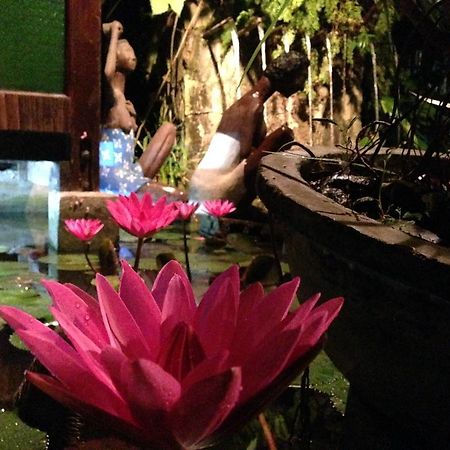 The Lotus Garden Bed and Breakfast Puerto Princesa Exterior foto