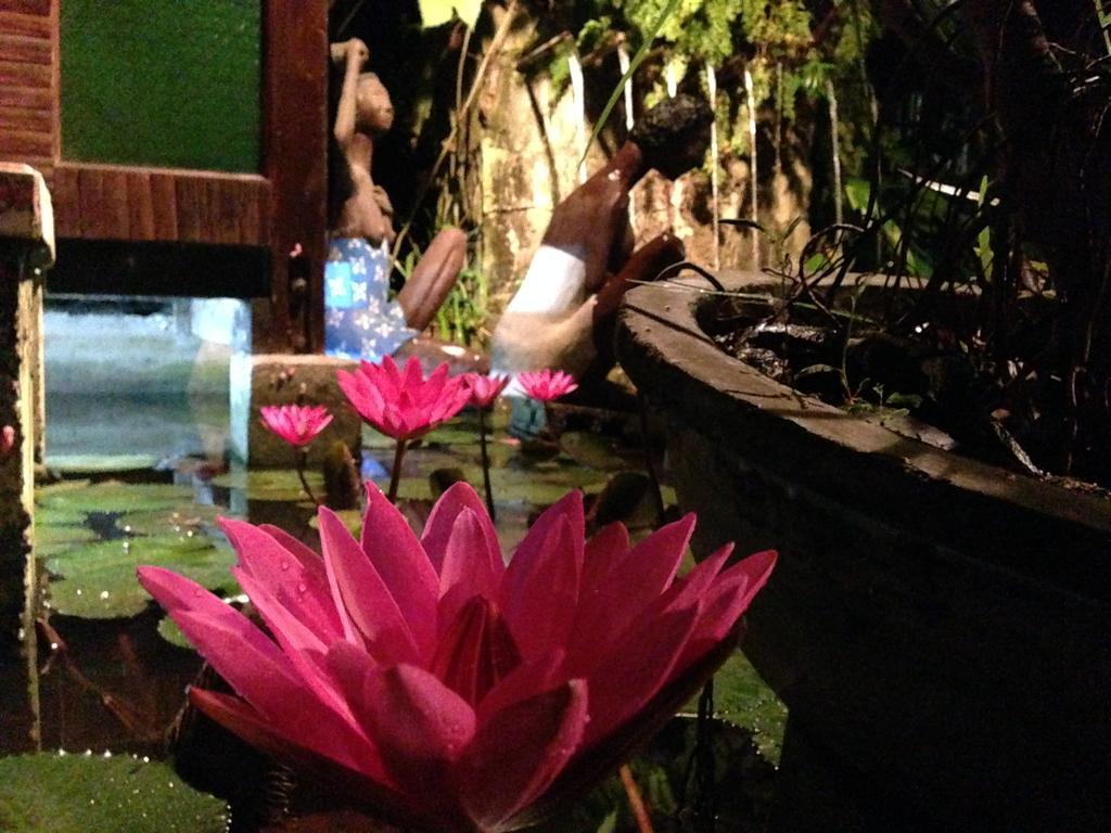The Lotus Garden Bed and Breakfast Puerto Princesa Exterior foto