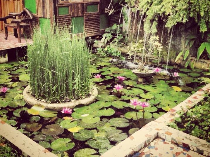 The Lotus Garden Bed and Breakfast Puerto Princesa Exterior foto