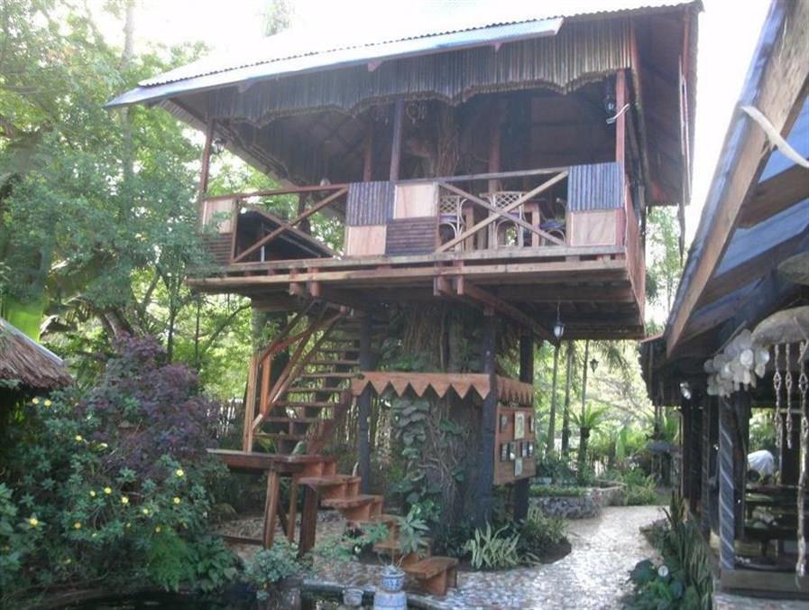 The Lotus Garden Bed and Breakfast Puerto Princesa Exterior foto